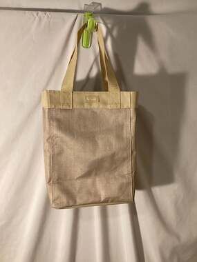 Thirty-One Gifts Metallic Champagne Tall Organizing Utility Tote